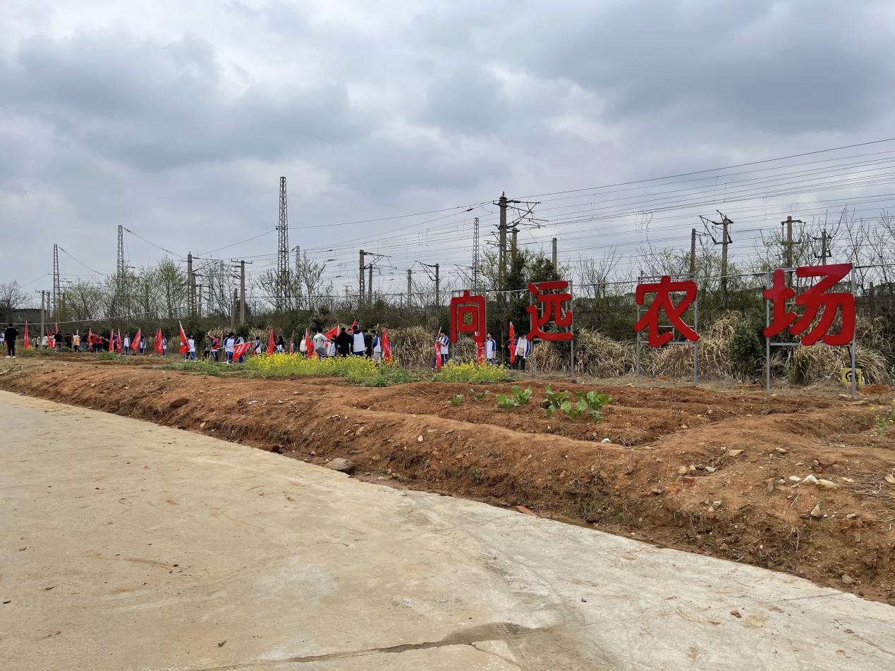 乐鱼体育官方网站助力植树节，彰显向远力量