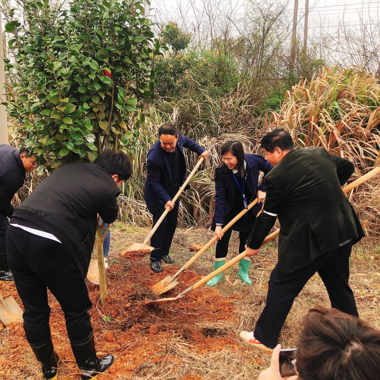 乐鱼体育官方网站助力植树节，彰显向远力量