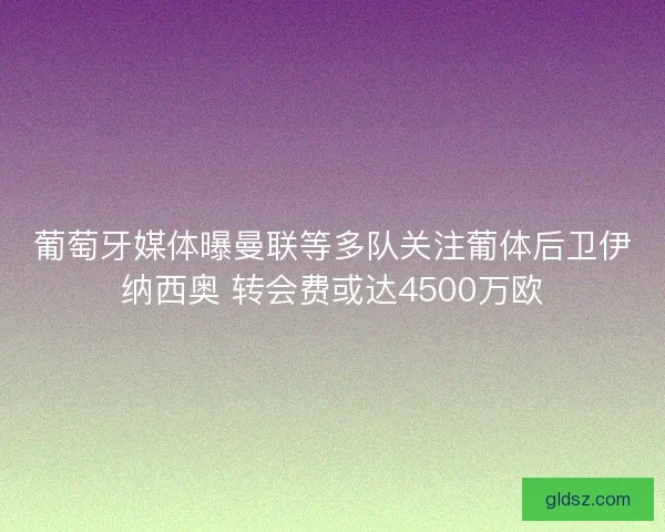 葡萄牙媒体曝曼联等多队关注葡体后卫伊纳西奥 转会费或达4500万欧