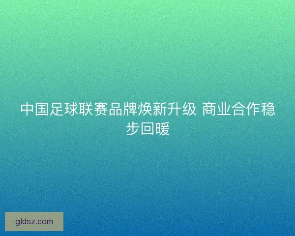 中国足球联赛品牌焕新升级 商业合作稳步回暖